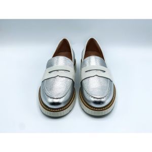  ZILVER